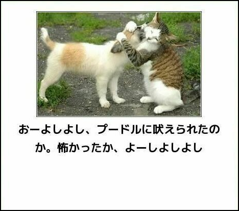 諦めるなんて 彼女がいる男性のおとし方 寄り添い編 もったいない だまされない女のつくり方