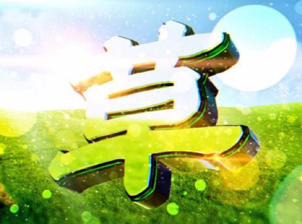 ネットや本では教えてくれない草食系男子攻略法 その３ だまされない女のつくり方