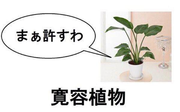 許せばすすめるし 怒りの対処法おしえてやんよ 前編 恨みは立ち止まらす だまされない女のつくり方