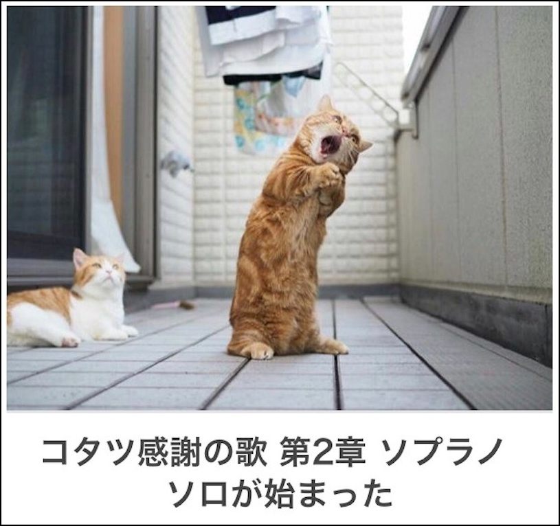 感謝できないって 感謝とお祝いって強制されてするもんちゃうんやで論 前編 ダメなこと だまされない女のつくり方